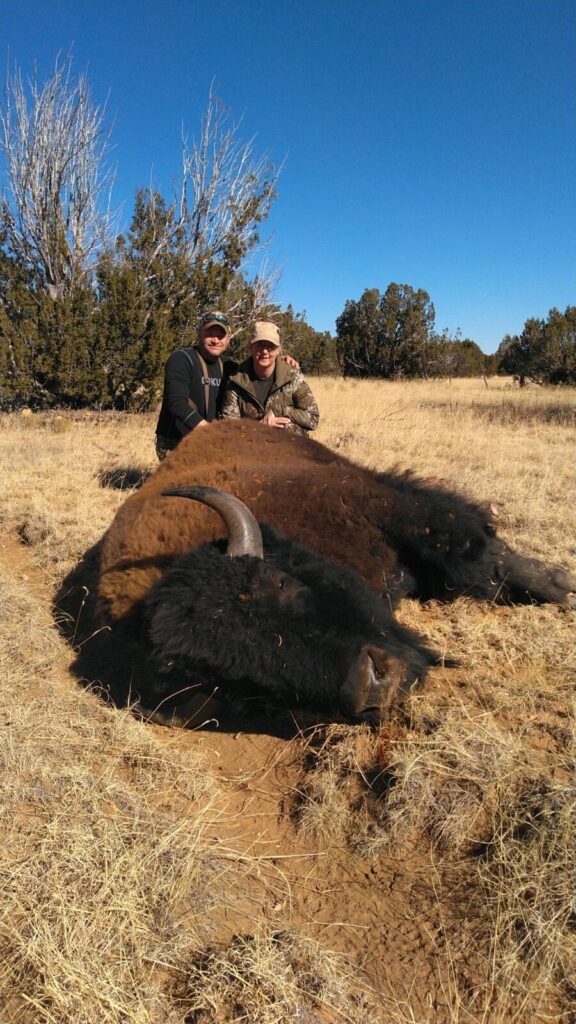 Bison hunts