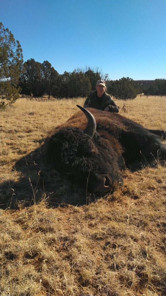 Bison hunts